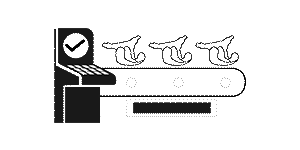 18 საწარმოო ხაზი